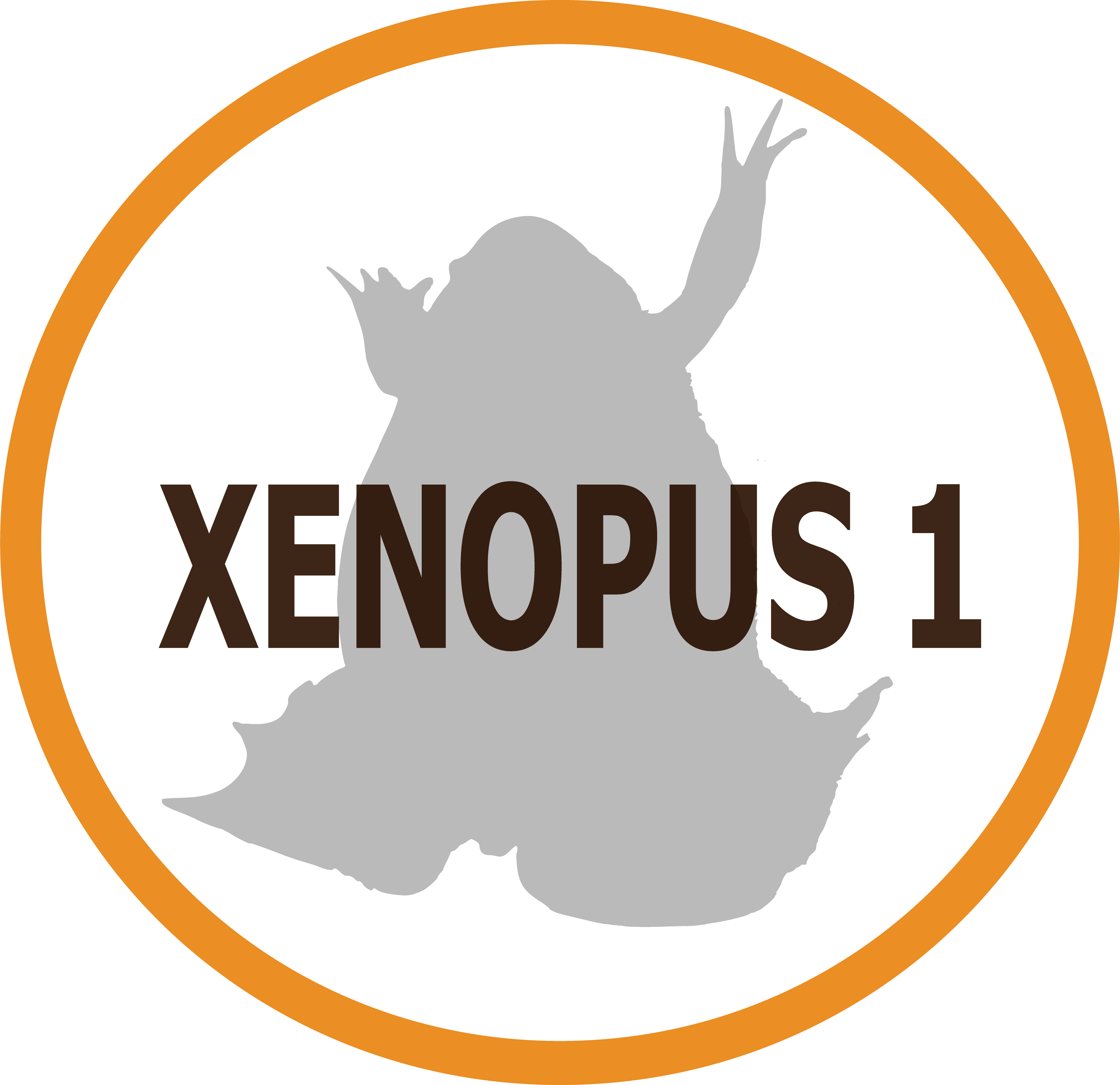 Xenopus 1